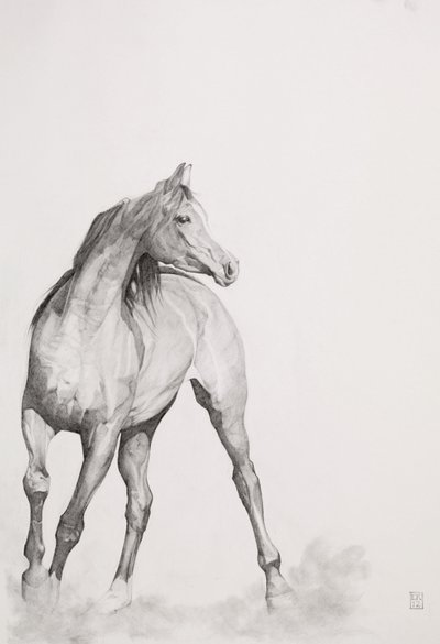 Moving Image, Series 1, 2012 by Emma Kennaway